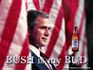 bush_bud.jpg