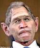 bush_missinglunk.jpg